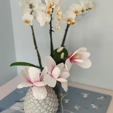 Апартаменти Podczele 8a *